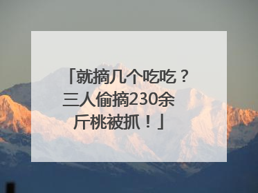 就摘几个吃吃？三人偷摘230余斤桃被抓！