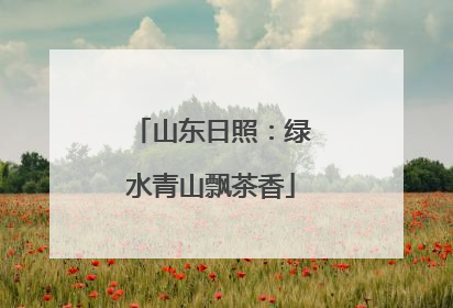 山东日照：绿水青山飘茶香