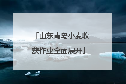 山东青岛小麦收获作业全面展开
