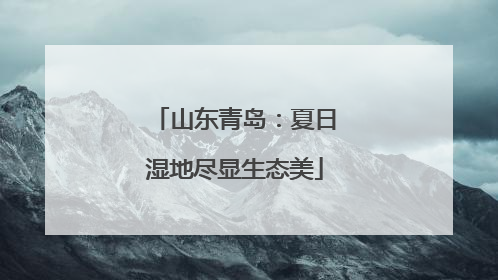 山东青岛：夏日湿地尽显生态美