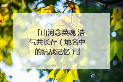 山河念英魂 浩气共长存（地名中的抗战记忆）