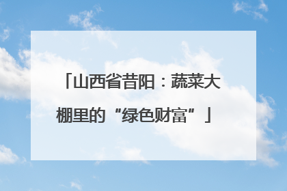 山西省昔阳：蔬菜大棚里的“绿色财富”