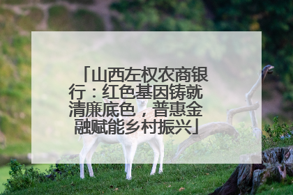 山西左权农商银行：红色基因铸就清廉底色，普惠金融赋能乡村振兴
