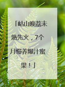 岵山晚荔未熟先火，7个月慢养爆汁蜜果！
