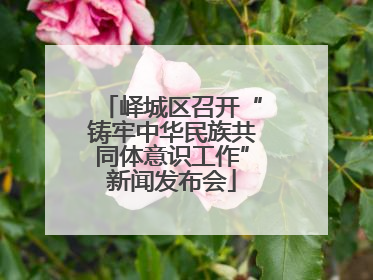 峄城区召开“铸牢中华民族共同体意识工作”新闻发布会
