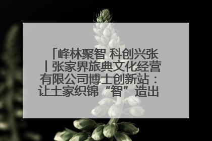 峰林聚智 科创兴张丨张家界旅典文化经营有限公司博士创新站：让土家织锦“智”造出非遗新传奇