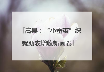 嵩县：“小蚕茧”织就助农增收新画卷
