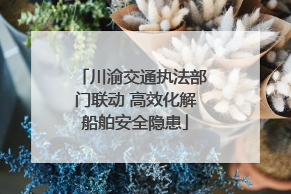 川渝交通执法部门联动 高效化解船舶安全隐患