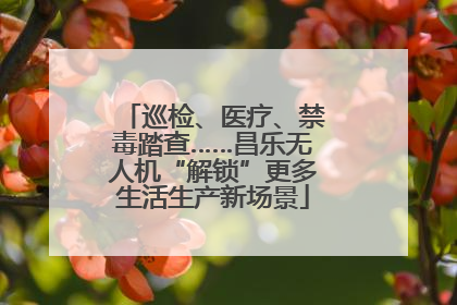 巡检、医疗、禁毒踏查……昌乐无人机“解锁”更多生活生产新场景