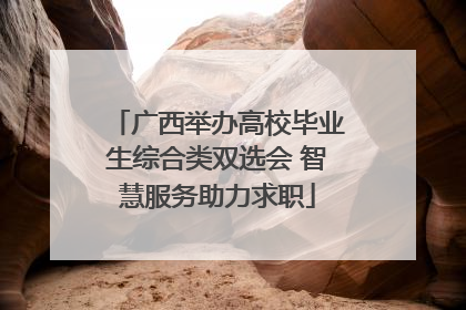 广西举办高校毕业生综合类双选会 智慧服务助力求职