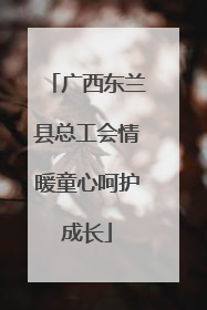 广西东兰县总工会情暖童心呵护成长