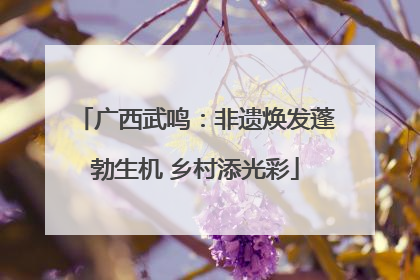 广西武鸣：非遗焕发蓬勃生机 乡村添光彩