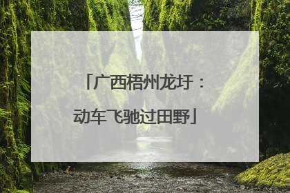广西梧州龙圩：动车飞驰过田野