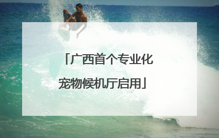 广西首个专业化宠物候机厅启用