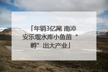 年销3亿尾 南漳安乐堰水库小鱼苗“孵”出大产业