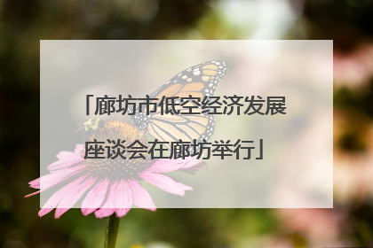 廊坊市低空经济发展座谈会在廊坊举行