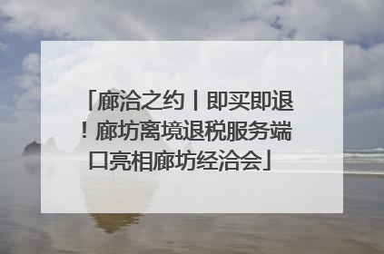廊洽之约丨即买即退！廊坊离境退税服务端口亮相廊坊经洽会