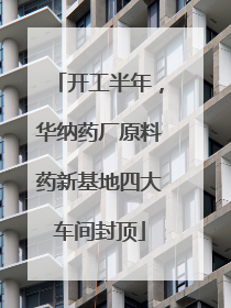 开工半年，华纳药厂原料药新基地四大车间封顶