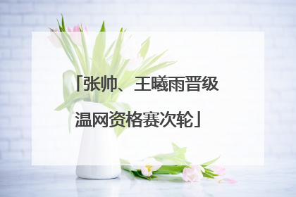 张帅、王曦雨晋级温网资格赛次轮