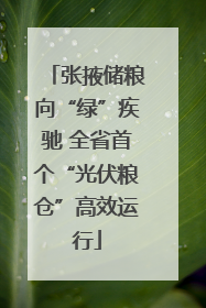 张掖储粮向“绿”疾驰 全省首个“光伏粮仓”高效运行
