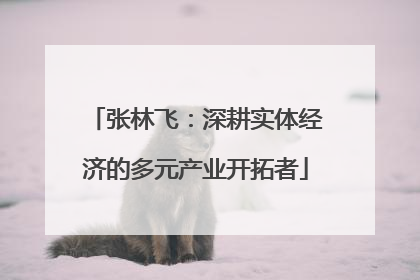 张林飞：深耕实体经济的多元产业开拓者