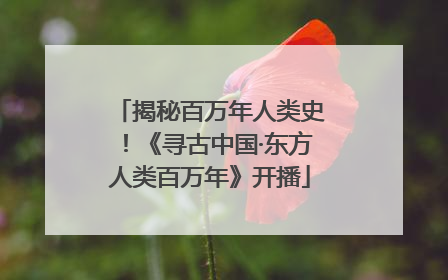 揭秘百万年人类史！《寻古中国·东方人类百万年》开播