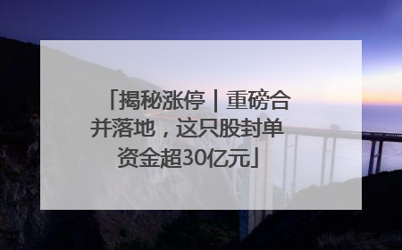 揭秘涨停｜重磅合并落地，这只股封单资金超30亿元