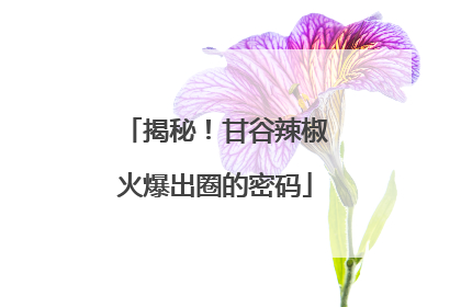 揭秘！甘谷辣椒火爆出圈的密码