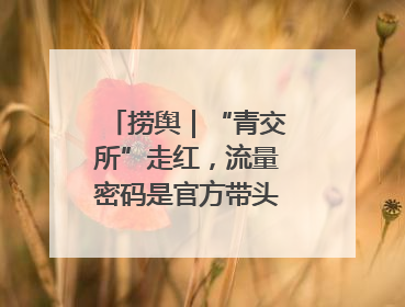 捞舆｜“青交所”走红，流量密码是官方带头“玩起来”