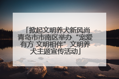 掀起文明养犬新风尚 青岛市市南区举办“宠爱有方 文明相伴”文明养犬主题宣传活动