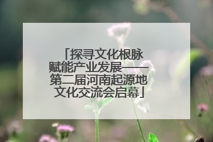 探寻文化根脉 赋能产业发展——第二届河南起源地文化交流会启幕