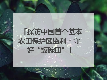 探访中国首个基本农田保护区监利：守好“饭碗田”