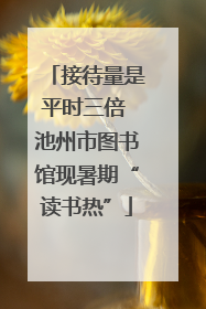 接待量是平时三倍 池州市图书馆现暑期“读书热”