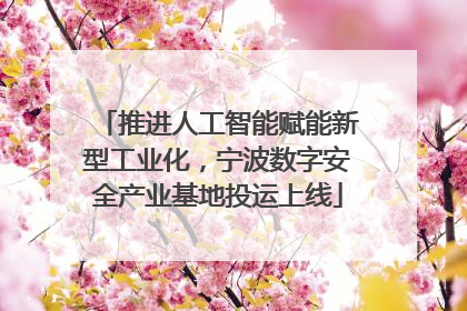 推进人工智能赋能新型工业化，宁波数字安全产业基地投运上线