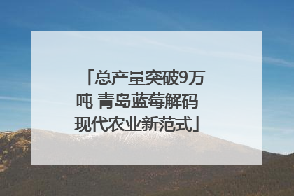 总产量突破9万吨 青岛蓝莓解码现代农业新范式