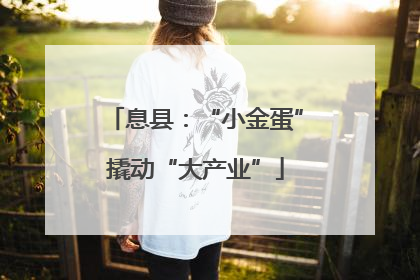 息县：“小金蛋”撬动“大产业”