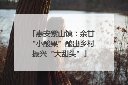 惠安紫山镇：余甘“小酸果”酿出乡村振兴“大甜头”
