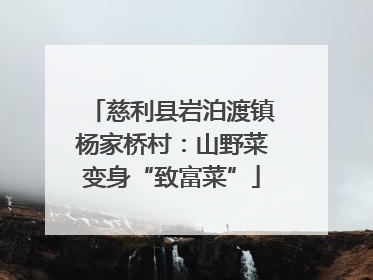 慈利县岩泊渡镇杨家桥村：山野菜变身“致富菜”