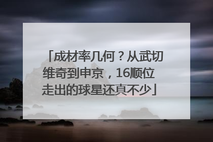 成材率几何？从武切维奇到申京，16顺位走出的球星还真不少