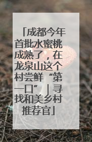 成都今年首批水蜜桃成熟了，在龙泉山这个村尝鲜“第一口”｜寻找和美乡村推荐官