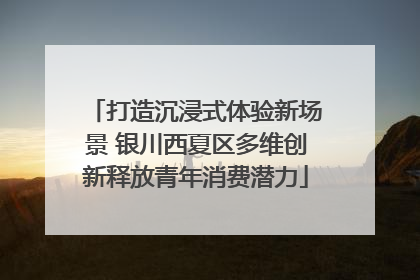 打造沉浸式体验新场景 银川西夏区多维创新释放青年消费潜力