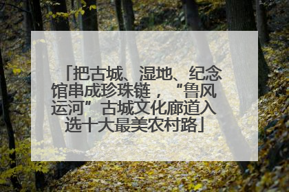 把古城、湿地、纪念馆串成珍珠链，“鲁风运河”古城文化廊道入选十大最美农村路