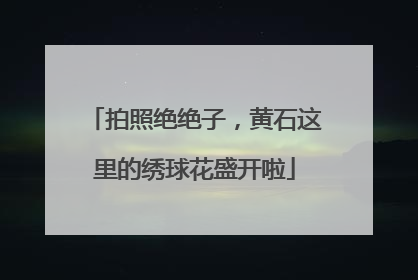 拍照绝绝子，黄石这里的绣球花盛开啦