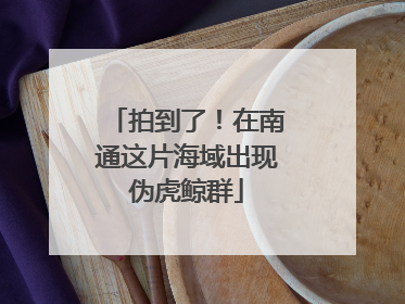 拍到了！在南通这片海域出现伪虎鲸群