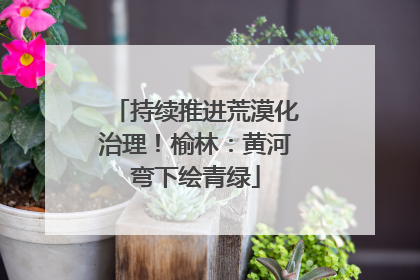 持续推进荒漠化治理！榆林：黄河弯下绘青绿