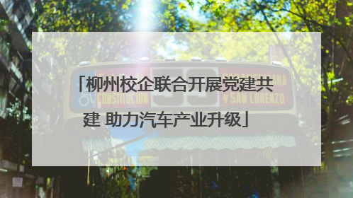 柳州校企联合开展党建共建 助力汽车产业升级