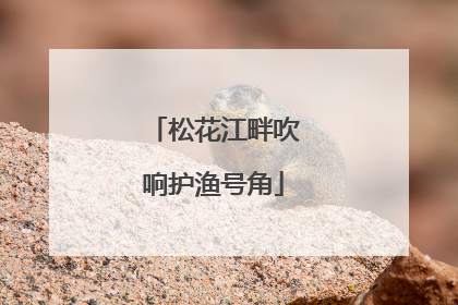 松花江畔吹响护渔号角