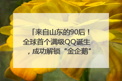来自山东的90后！全球首个满级QQ诞生，成功解锁“金企鹅”，是继承父亲账号