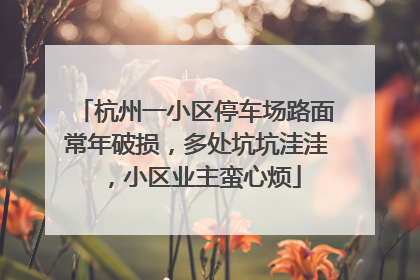 杭州一小区停车场路面常年破损，多处坑坑洼洼，小区业主蛮心烦
