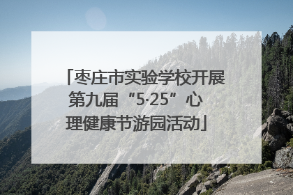 枣庄市实验学校开展第九届“5·25”心理健康节游园活动